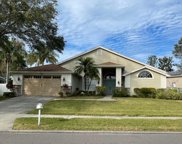 1765 Pipers Meadow Dr, Palm Harbor image