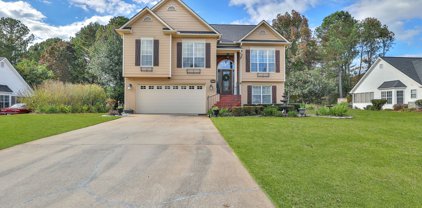 5268 Fawn Ivey Lane, Buford