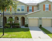 3181 Tocoa Circle, Kissimmee image
