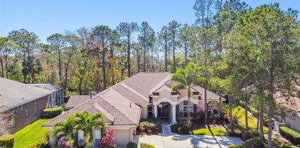 10563 Greensprings Drive, Tampa