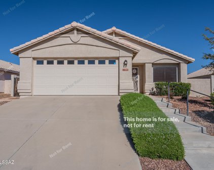 11002 N Double Eagle, Oro Valley