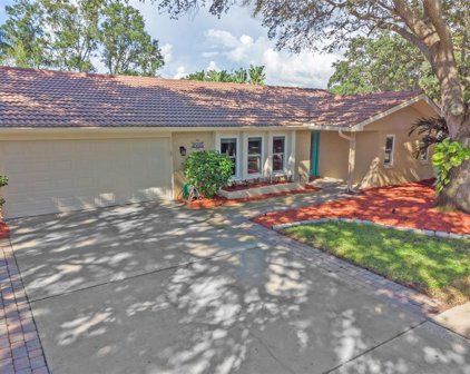 1889 Mourning Dove Drive, Palm Harbor