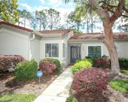172 W Sabal Palm Place Unit 172, Longwood image