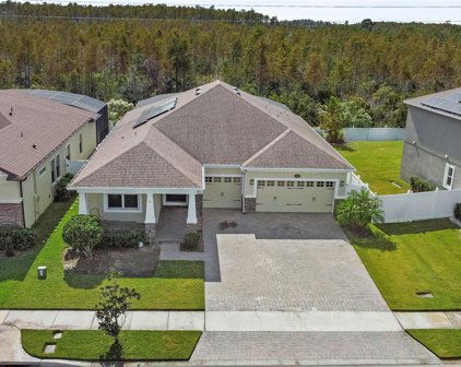 12291 Northover Loop, Orlando