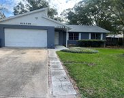 10815 Airview Drive, Tampa image