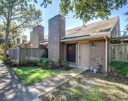 13810 Hollowgreen Drive Unit 323/21, Houston image