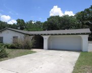 1040 Windgrove Trail, Maitland image
