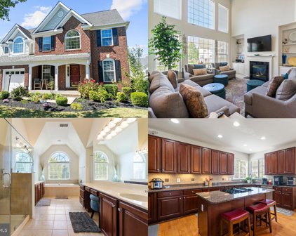 6700 Grace View St, Gainesville