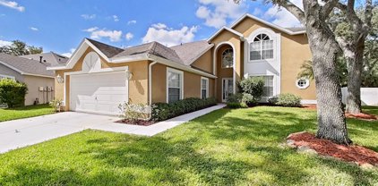 8502 Goldfinch Court, Tampa