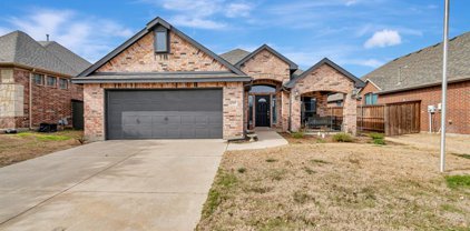 12513 Outlook  Avenue, Fort Worth