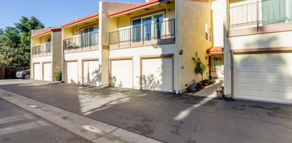 919 Fruitdale Place, San Jose