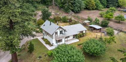 365 Nelson RD, Scotts Valley