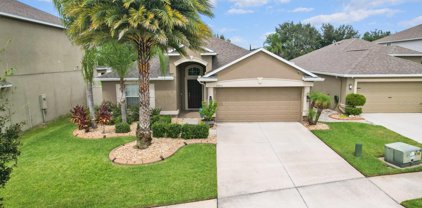 11511 Mansfield Point Drive, Riverview