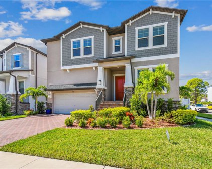 7501 S Faul Street, Tampa