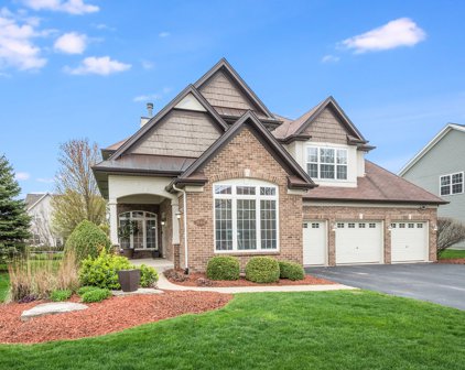 26407 W Red Apple Road, Plainfield
