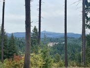 Gowdyville, Cottage Grove image