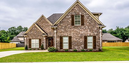 1969 Garrett Drive Drive, Hernando