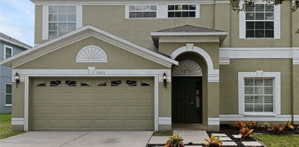 11312 Callaway Pond Drive, Riverview