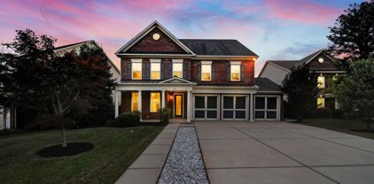 3359 Mandrake  Court, Tega Cay