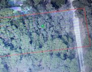 4088 S Joy Terrace, Homosassa image