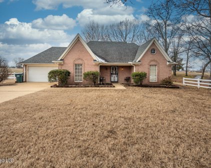 7505 Roundtable Drive, Southaven