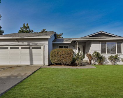 7368 Amanda St, Dublin