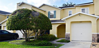 2523 Sand Dollar Lane, Clearwater