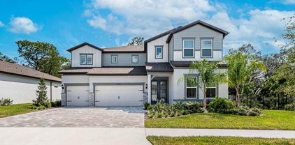 13858 Sharp Hawk Drive, Riverview