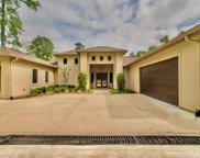 2 Forest Muse, The Woodlands image