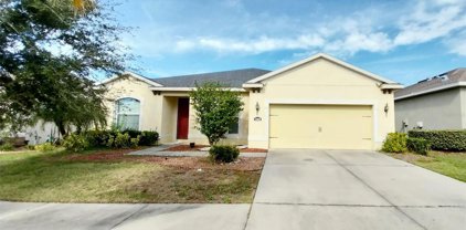 11018 Spring Point Circle, Riverview