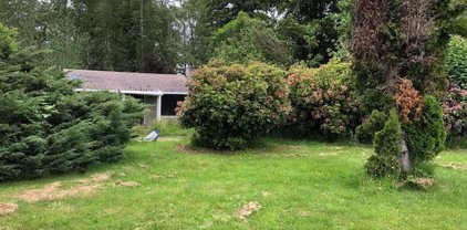 14215 Kapowsin Highway E, Graham
