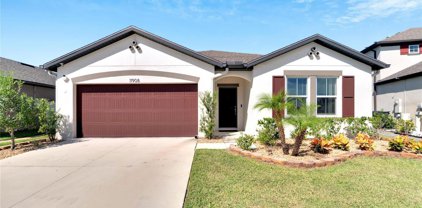 11908 Bahia Valley Drive, Riverview