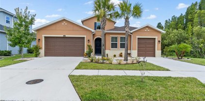 1948 Whitewillow Drive, Wesley Chapel