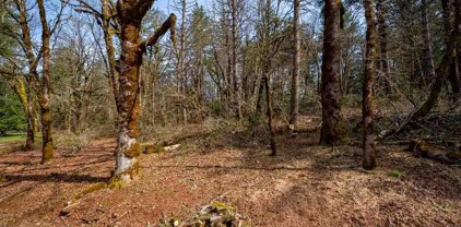 5350 Destiny Ln, Salem