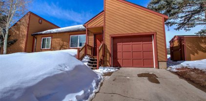1603 N Chipmunk  Lane, Silverthorne
