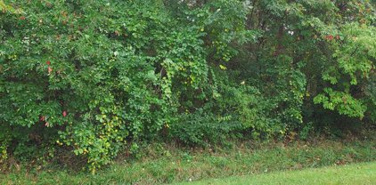 LOTS 253-254 Carimon Rd, Chestertown