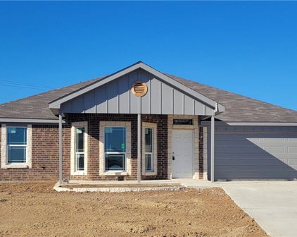 3209 Goblin Drive, Killeen