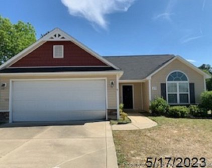 119 Blackhawk Lane, Raeford