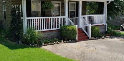 12 Connie Ct, Iuka