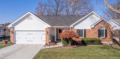 3452 Indiana  Avenue, St Charles