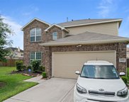 12659 Ashlynn Creek Trail, Houston image