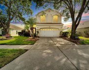 3628 Springville Drive, Valrico image