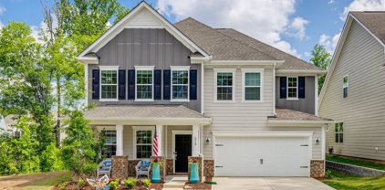 210 Zimmerman  Drive, Tega Cay