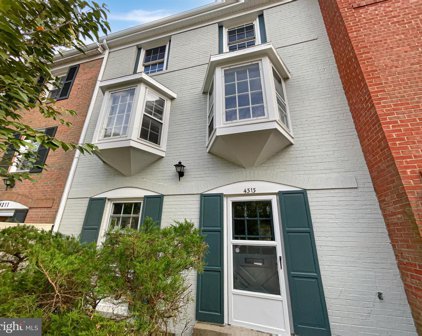 4313 Lawrence St, Alexandria