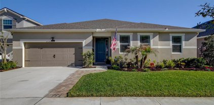 13234 Baby Belle Drive, Riverview