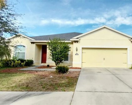 11018 Spring Point Circle, Riverview