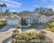 3043 Sutton Woods Drive, Plant City image
