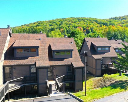 74 Woods Rd-The Woods, Ellicottville-043689
