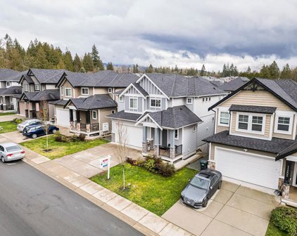 11208 242a Street, Maple Ridge