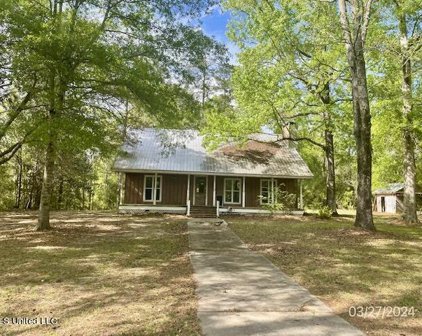 45 Fritz Whitfield Road, Picayune